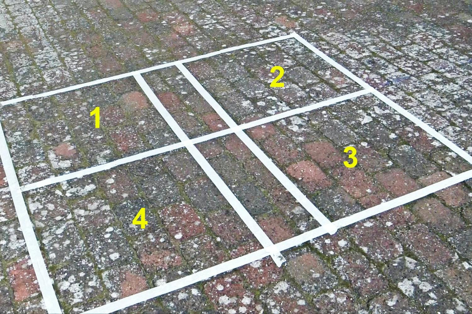 De fire felter med flisepest FLISEPEST: De fire felter med flisepest